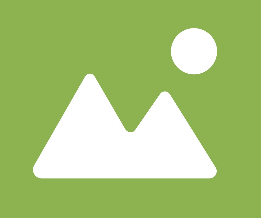 image-icon